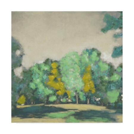 Trademark Fine Art Chariklia Zarris 'Treeline I' Canvas Art, 35x35 WAG07810-C3535GG